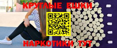 стафф Заводоуковск
