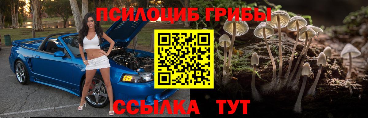 Псилоцибиновые грибы ЛСД Черногорск